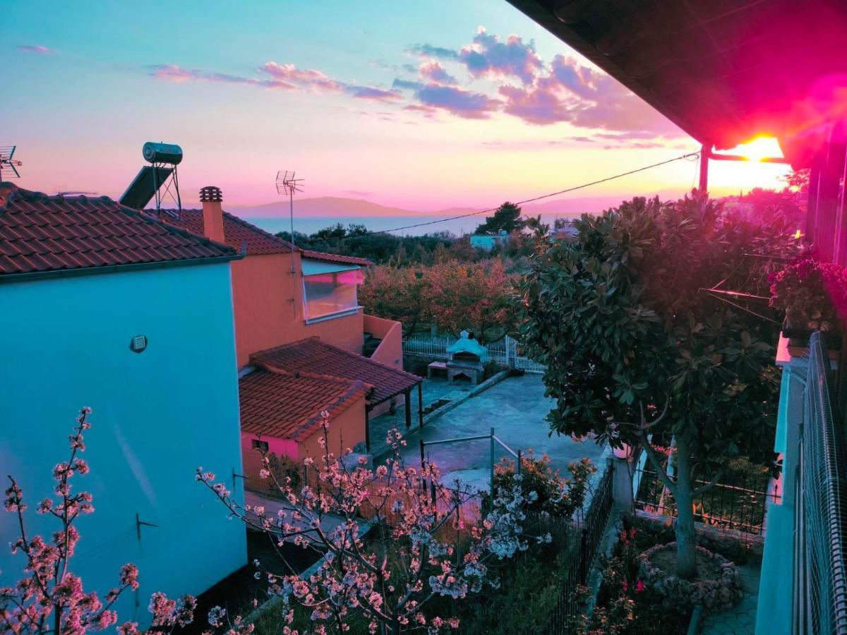 Adam'S Holiday House 2019 Karianí エクステリア 写真