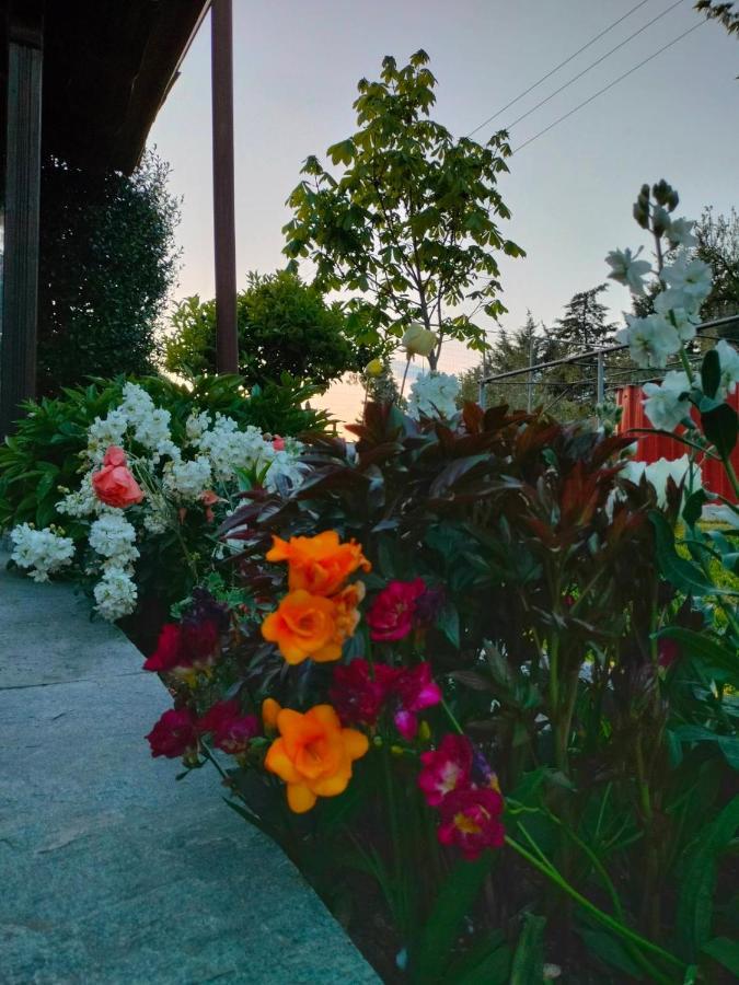 Adam'S Holiday House 2019 Karianí エクステリア 写真