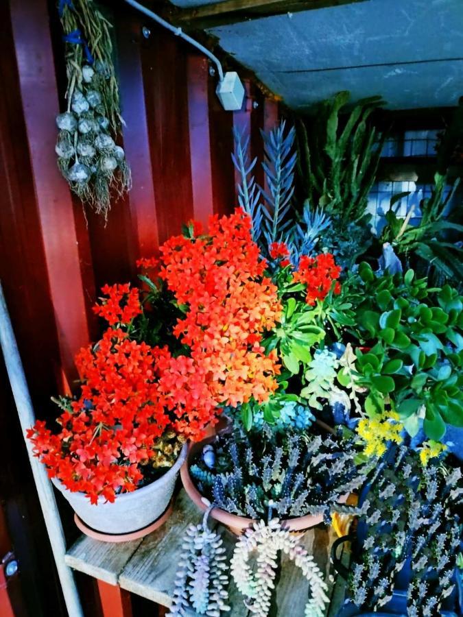Adam'S Holiday House 2019 Karianí エクステリア 写真