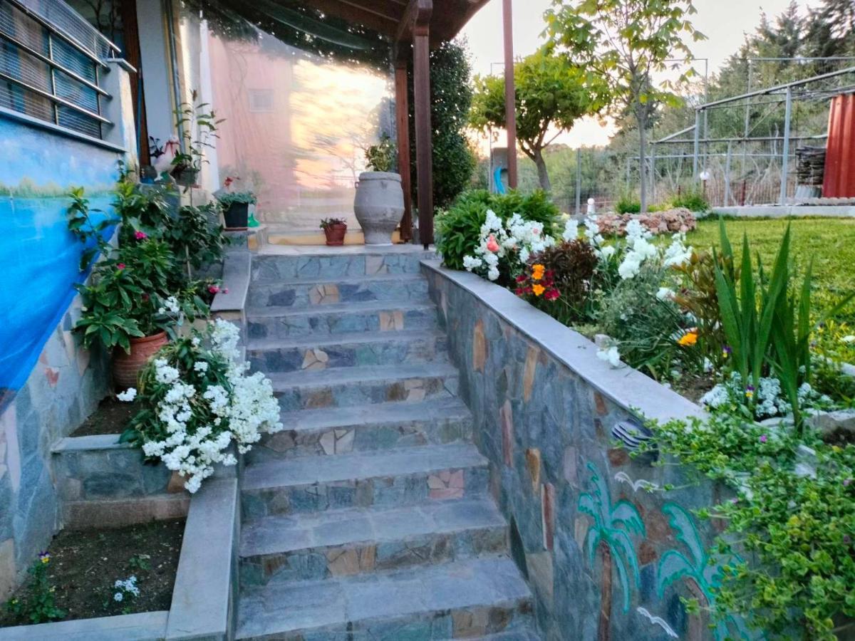 Adam'S Holiday House 2019 Karianí エクステリア 写真